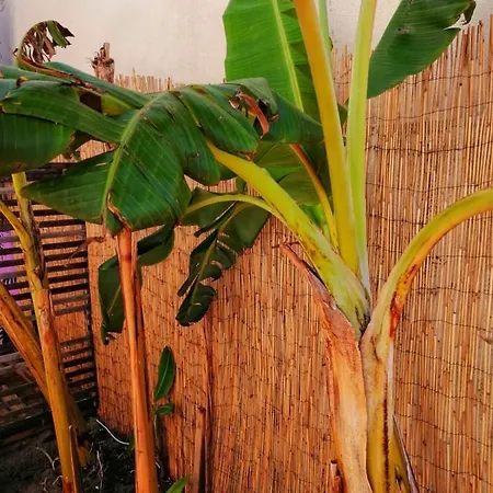 Captain's Log House بيت شباب باليال