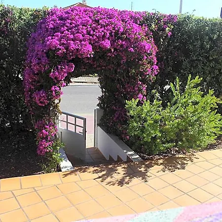 Captain's Log House Baleal