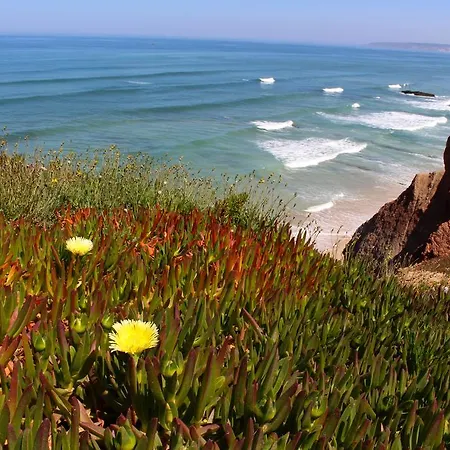 Captain's Log House Vandrerhjem Baleal