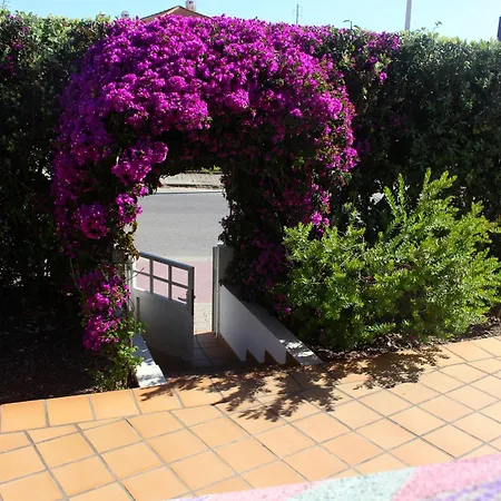 Vandrerhjem Captain's Log House Baleal