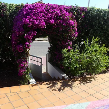 Auberge de jeunesse Captains Log House Baleal