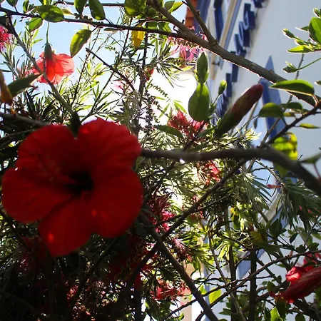 Captain's Log House Ostello