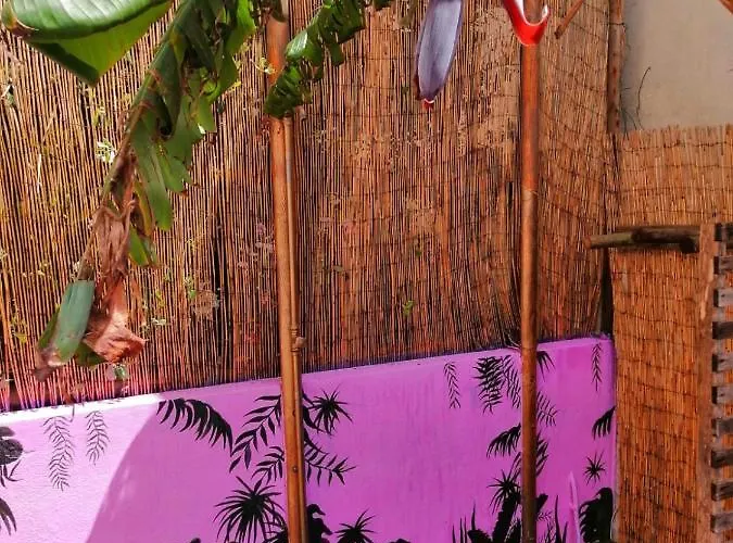 Auberge de jeunesse Captain's Log House Baleal