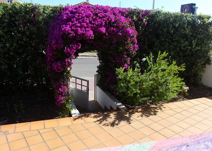 Auberge de jeunesse Captain's Log House Baleal